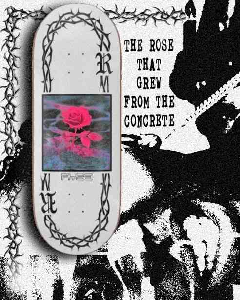 Concrete Rose